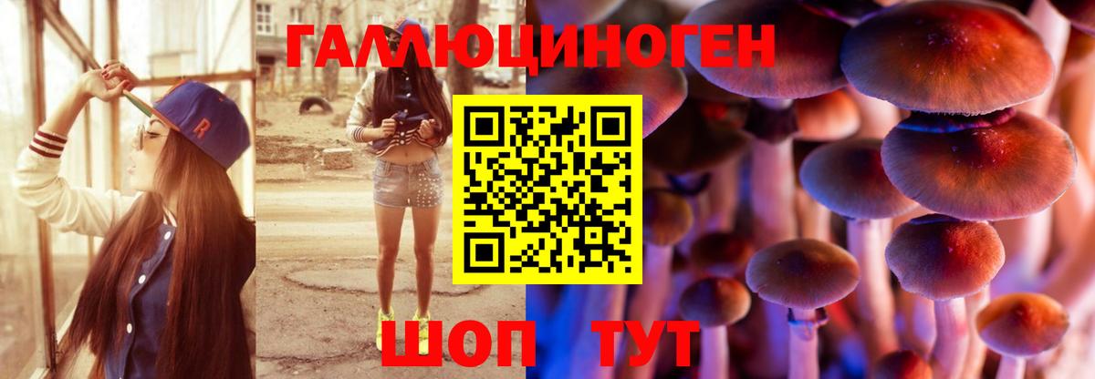 Галлюциногенные грибы Magic Shrooms Дедовск